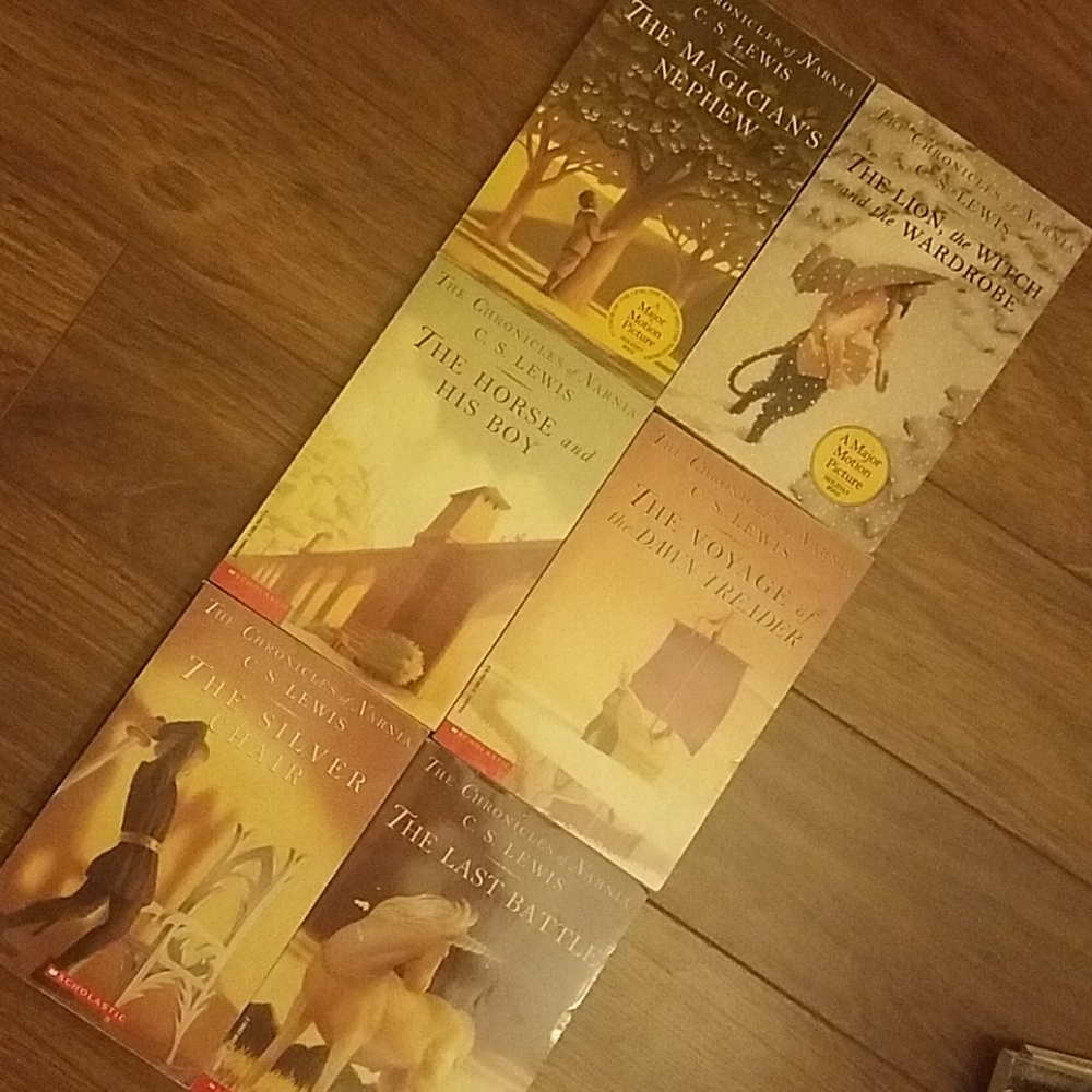 Set of 6 Narnia books
